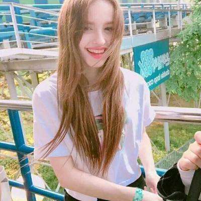 宠物小精灵xy九游版下载